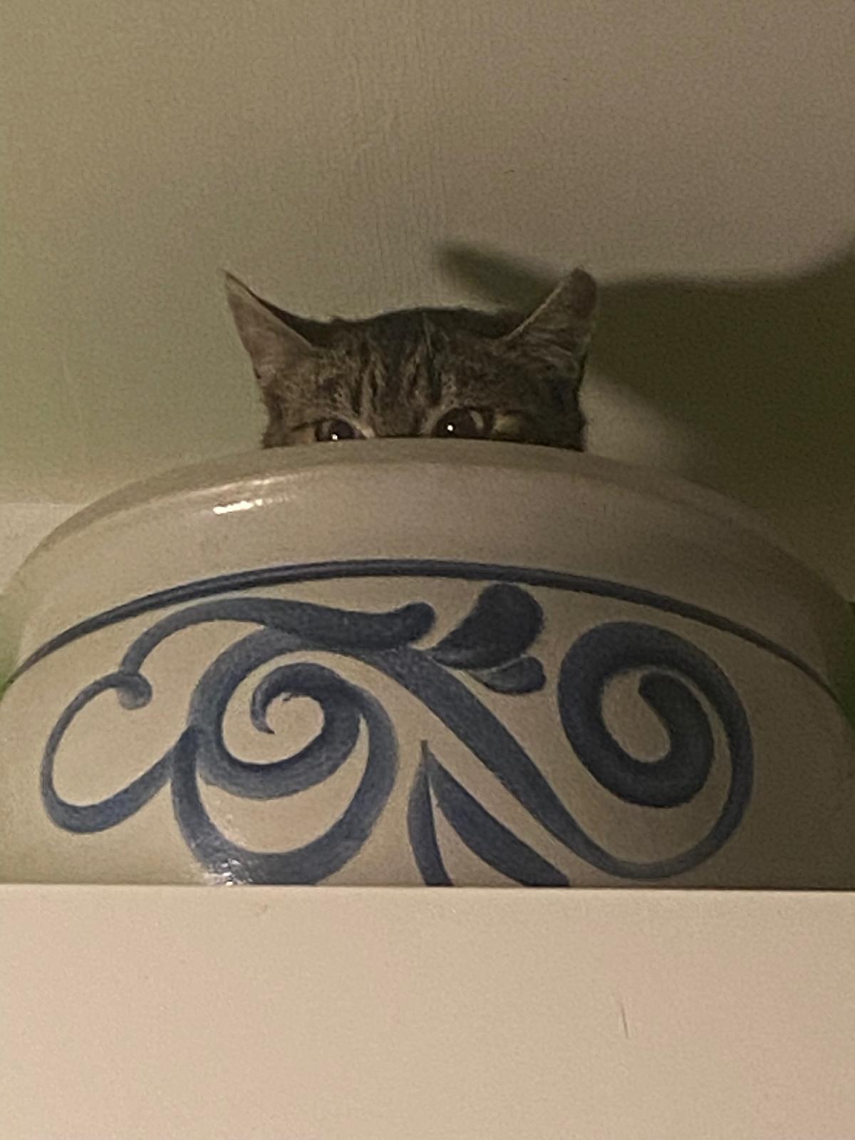 Leon