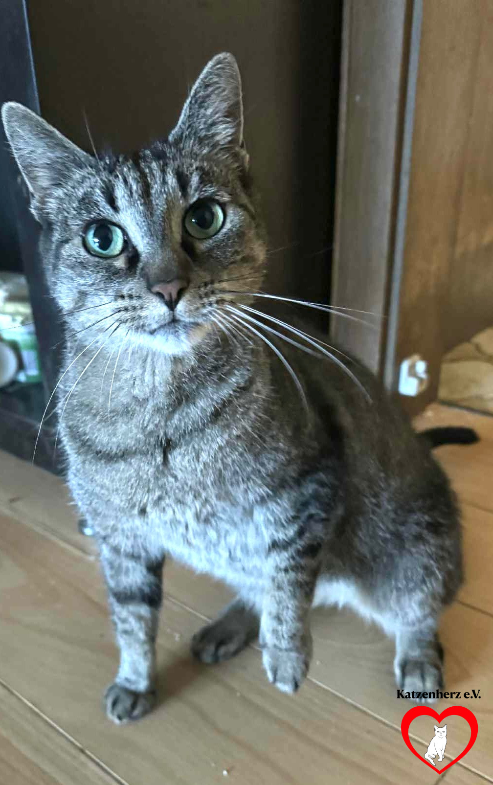 Minka