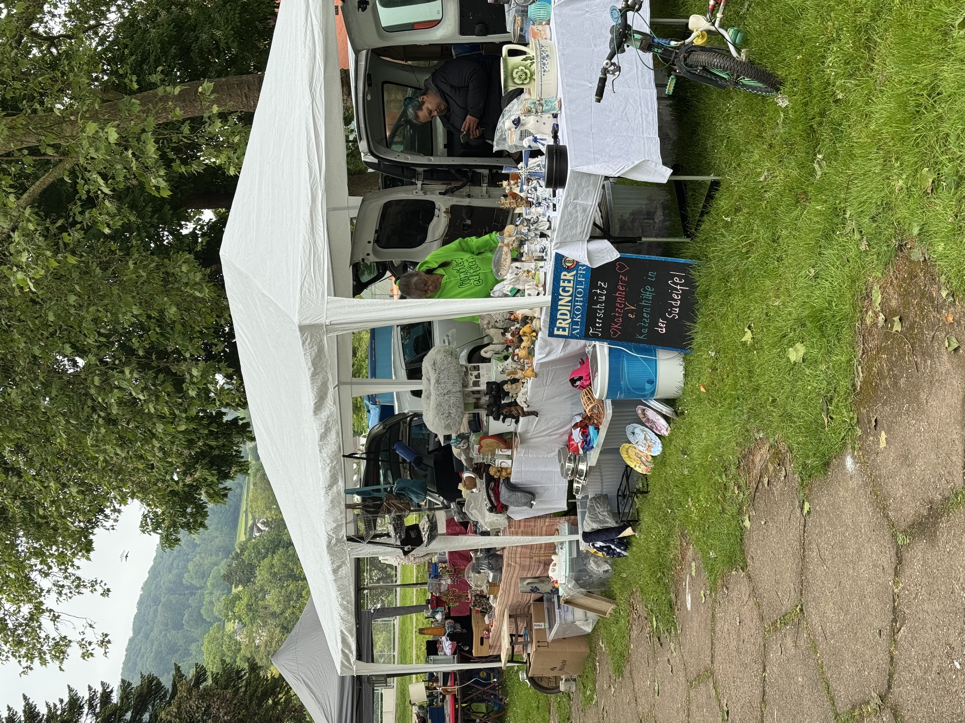 Floumaart am Parc zu Dikrich (L)